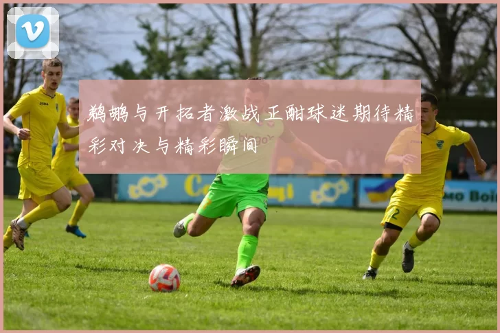 鹈鹕与开拓者激战正酣球迷期待精彩对决与精彩瞬间